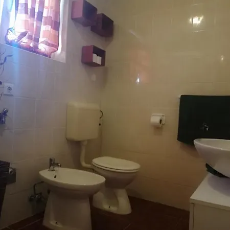 Apartment Dalmatina