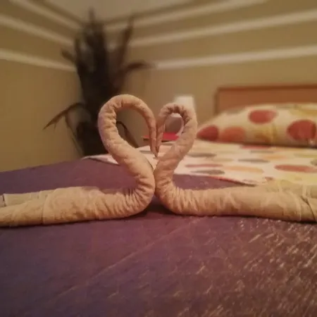 Dalmatina Daire Vodice