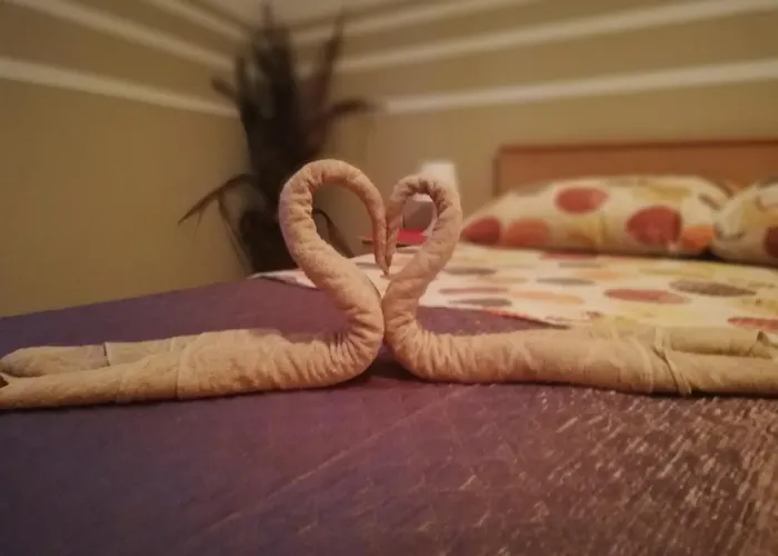 Dalmatina 아파트 보디체